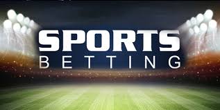 Enjoy top sports betting and big payouts with Vivi today 10