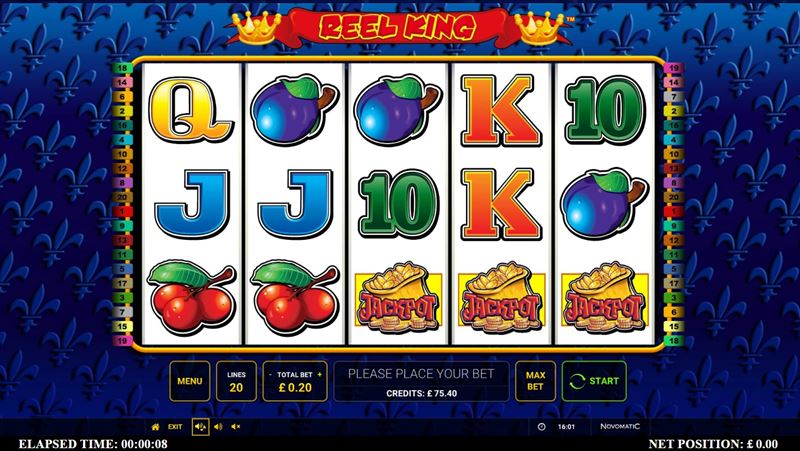 Exploring the World of Online Bingo in Pakistan 8
